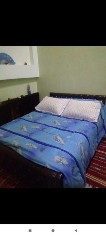 Dar Hiba Daire Marakeş Dış mekan fotoğraf